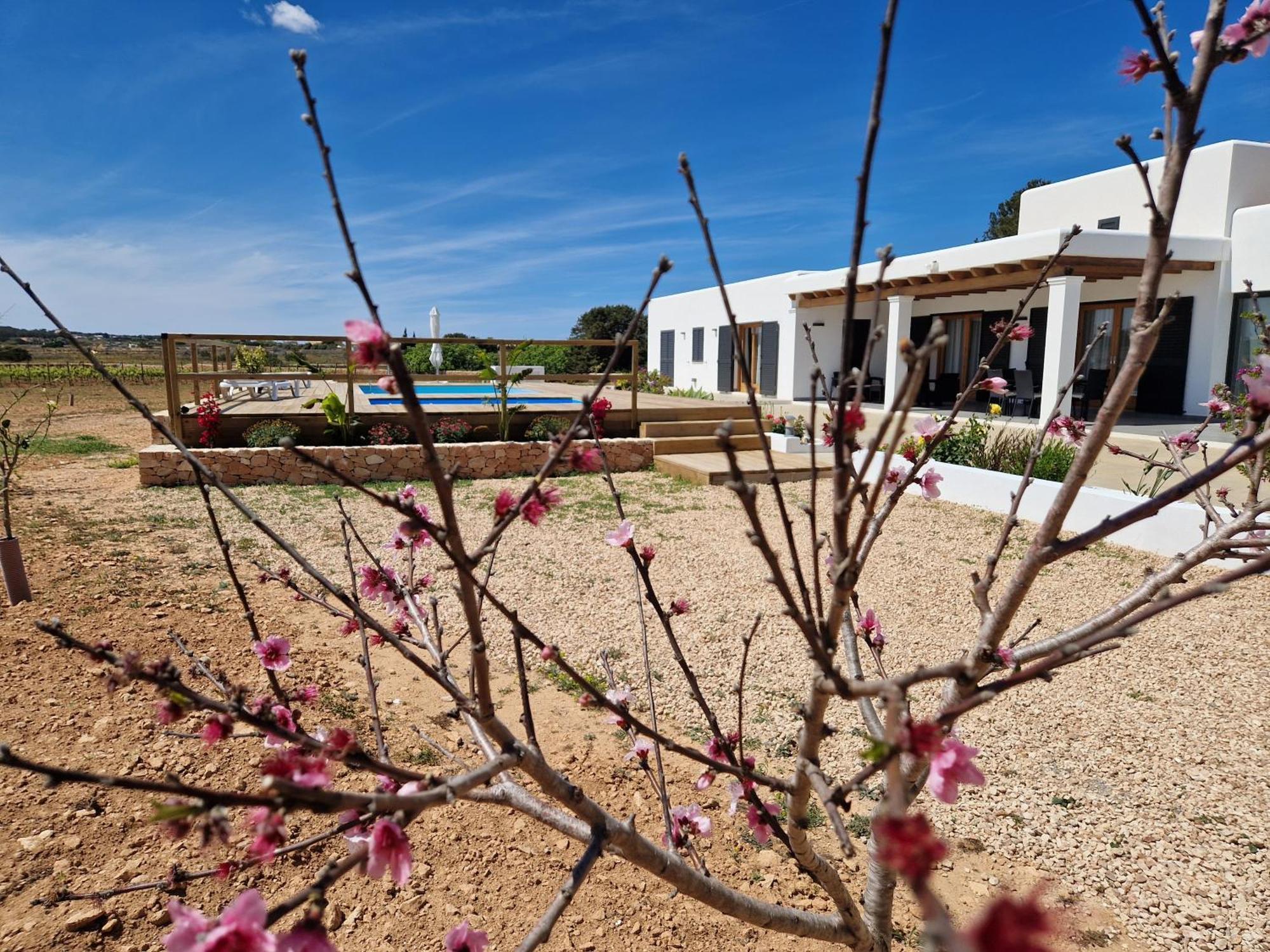 Ses Vinas De Cas Baixero Villa La Mola Buitenkant foto